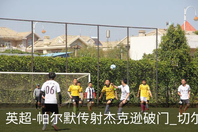 英超-帕尔默传射杰克逊破门 切尔西3-2纽卡斯尔